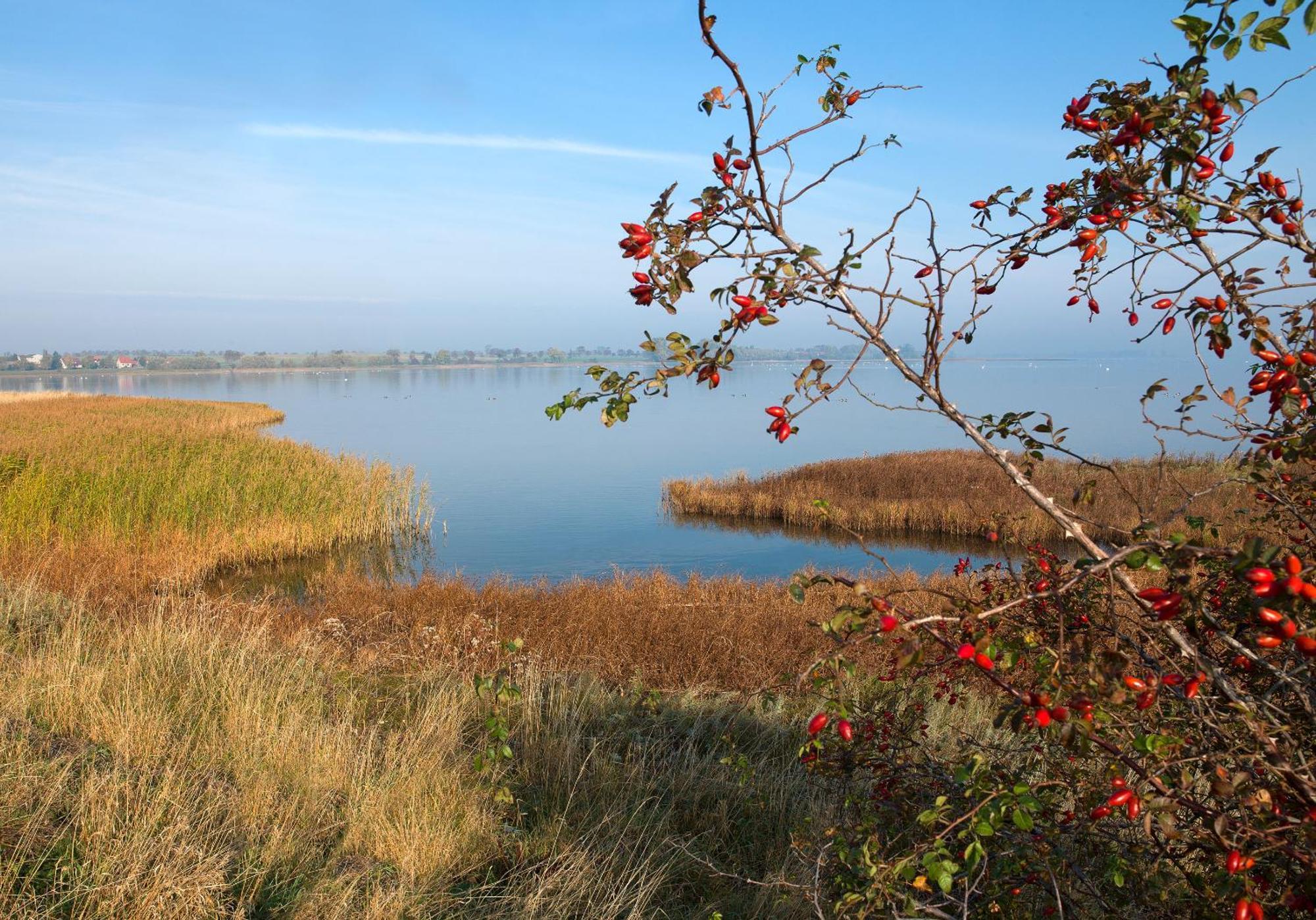 Апартаменты Insel-Idyll Sonnenschein Остров Пёль Экстерьер фото
