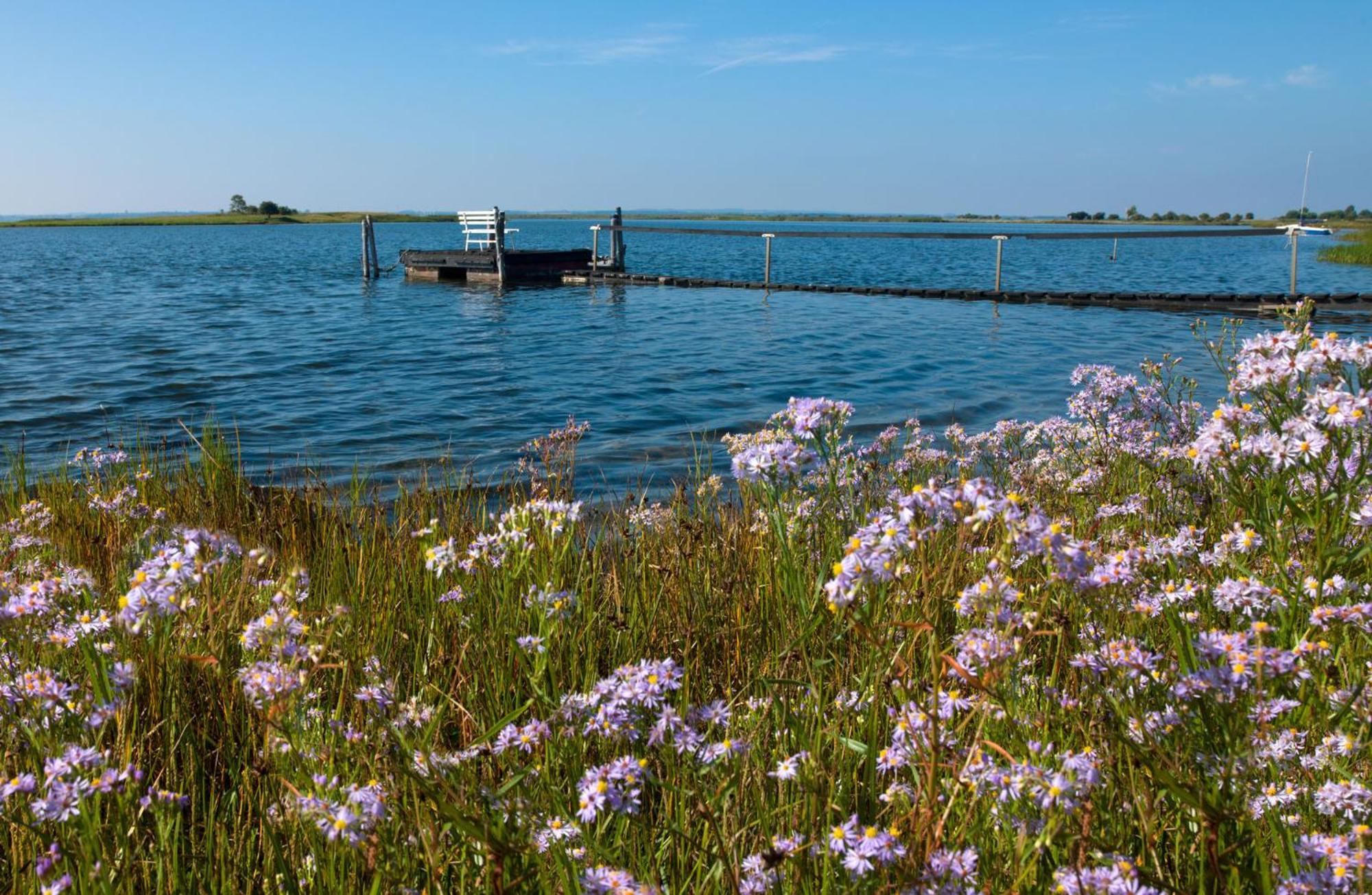 Апартаменты Insel-Idyll Sonnenschein Остров Пёль Экстерьер фото