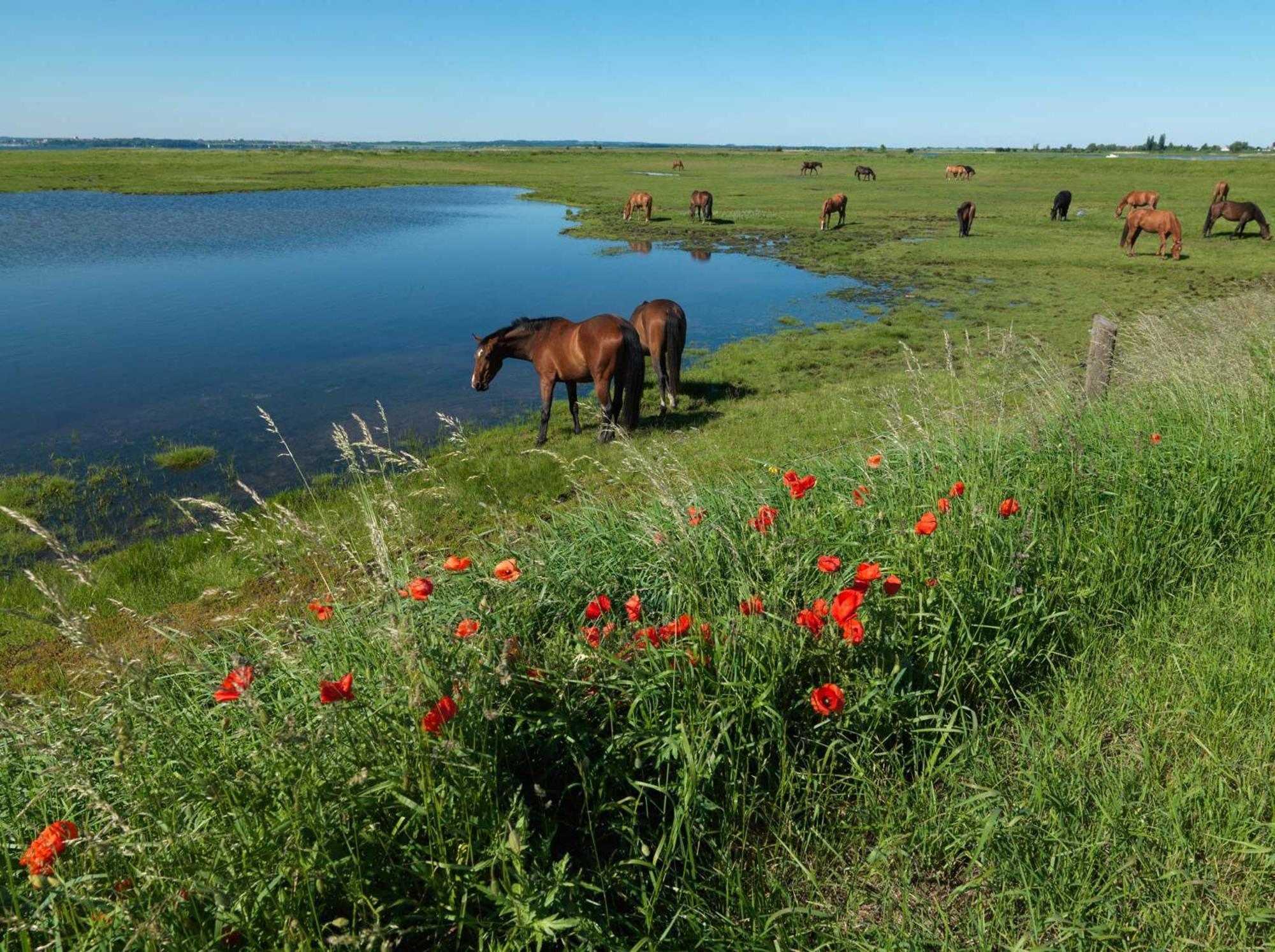 Апартаменты Insel-Idyll Sonnenschein Остров Пёль Экстерьер фото